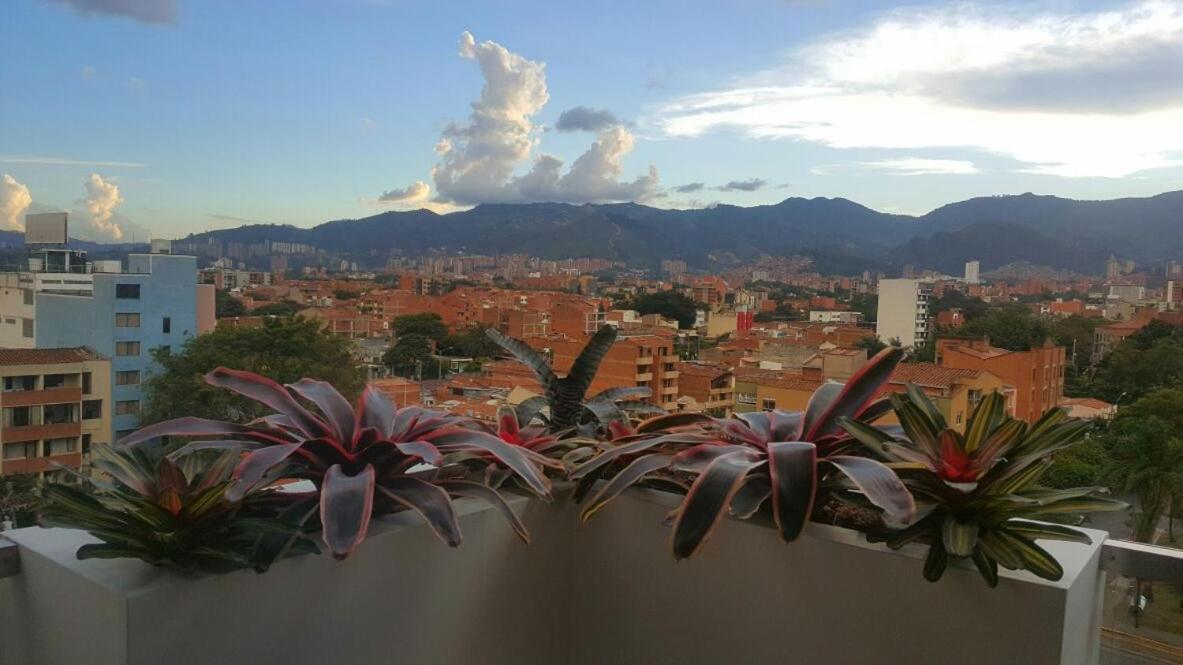 Terra Biohotel Medellín Eksteriør bilde